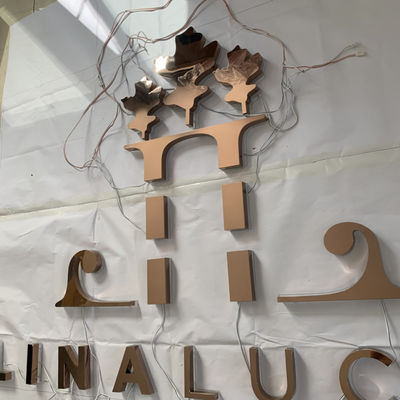 OEMは多灯形チャネルの手紙を署名するバックリット ミラーのポーランド語に照らした