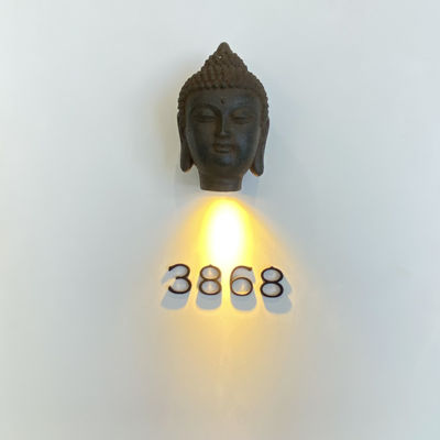 ステンレス鋼の304の金属の住所印照らされる台紙をねじで締めなさい