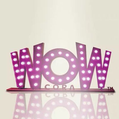 電球が付いているHIGHSPAN型の玄関ひさしの手紙の印4ft