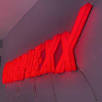 注文の文字を入れる3d手紙の印の涼しい落書きのアルファベットDc12v 5cm